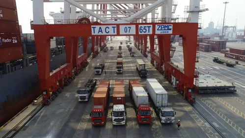 進口美國紙箱的海運提貨與清關代理全攻略