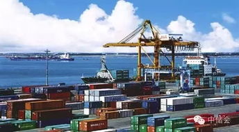 海關(guān)總署關(guān)于優(yōu)惠貿(mào)易協(xié)定項(xiàng)下進(jìn)出口貨物報(bào)關(guān)單填制規(guī)范及國內(nèi)貿(mào)易代理實(shí)務(wù)指引