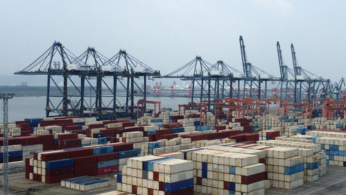 開門穩(wěn)！外貿大省浙江發(fā)力，東盟躍升為第二大貿易市場